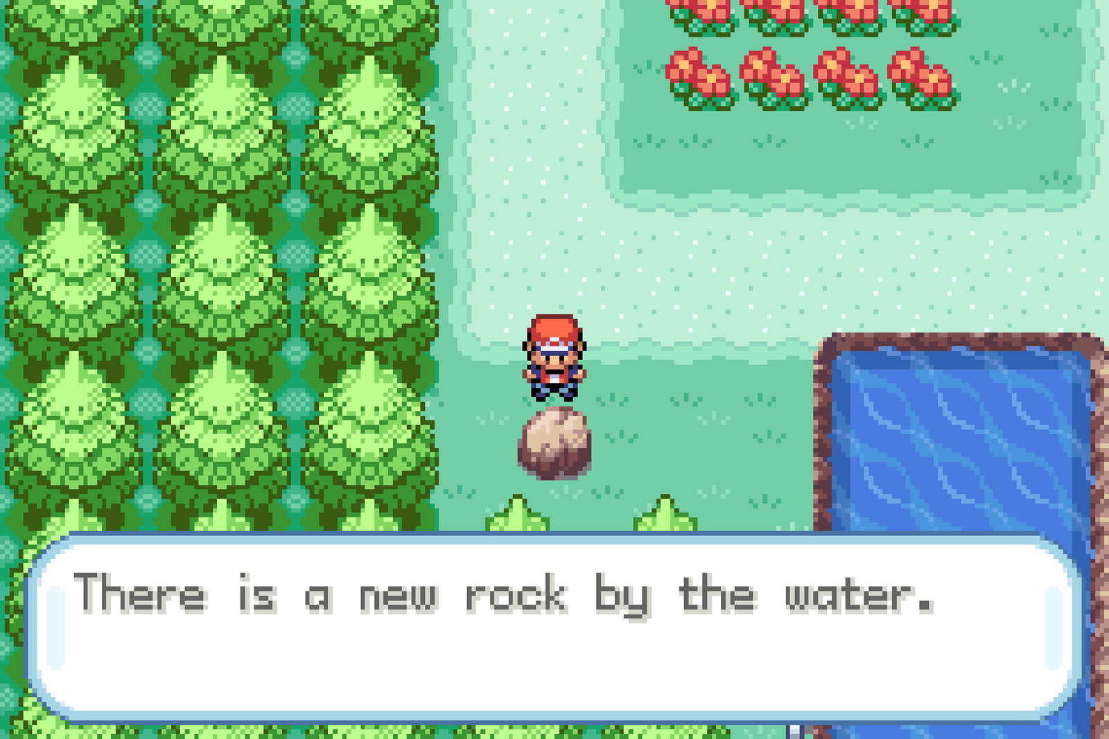 The player standing directly above a rock beside water as the game dialogue says, “There is a new rock by the water.”