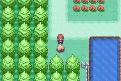 The player standing near a lone rock beside trees and water on a familiar Kanto route.